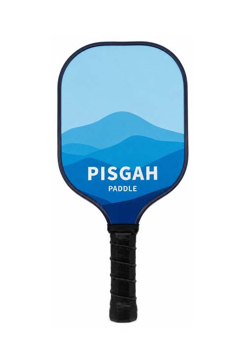 Trailblazer pickleball paddle